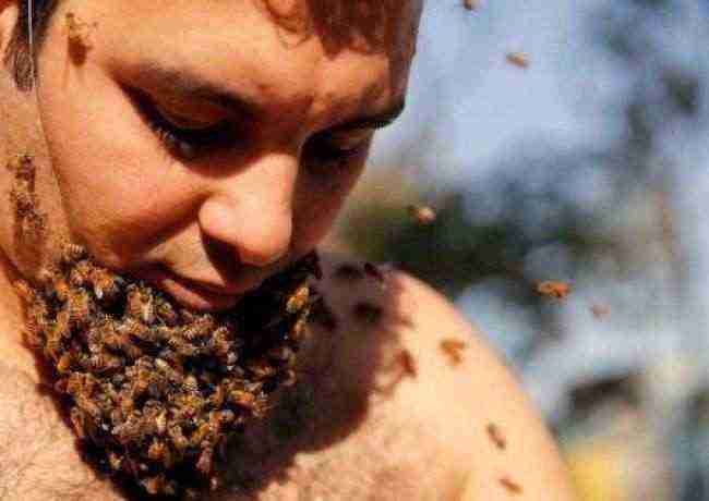 شاب مصري يربي "لحية من النحل" للترويج لفوائده