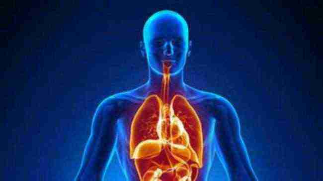 كيف يتم استخدام الأكسجين في جسم الإنسان؟