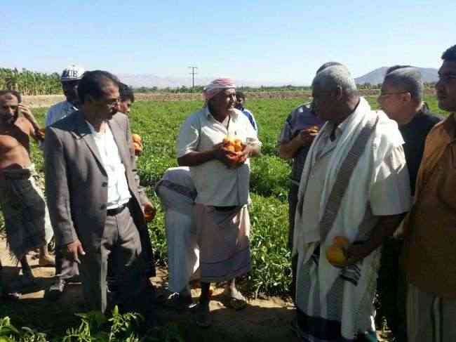 تدشين برنامج الحقول الايضاحية لشبكة الري في محافظة ابين