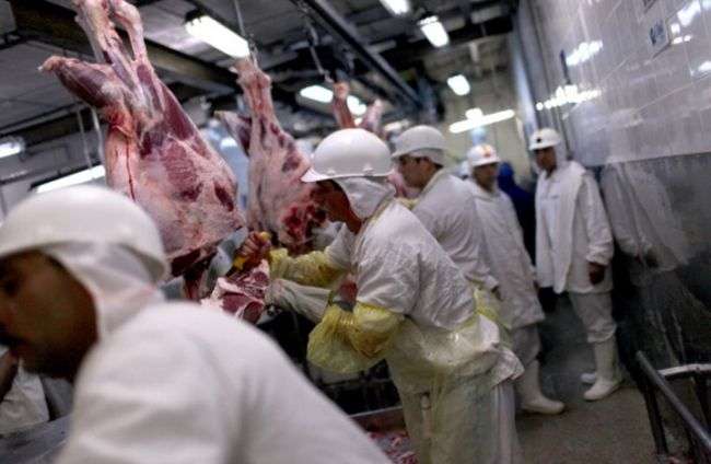 الاتحاد الأوروبي يحظر واردات اللحوم من 20 مصنعا في البرازيل