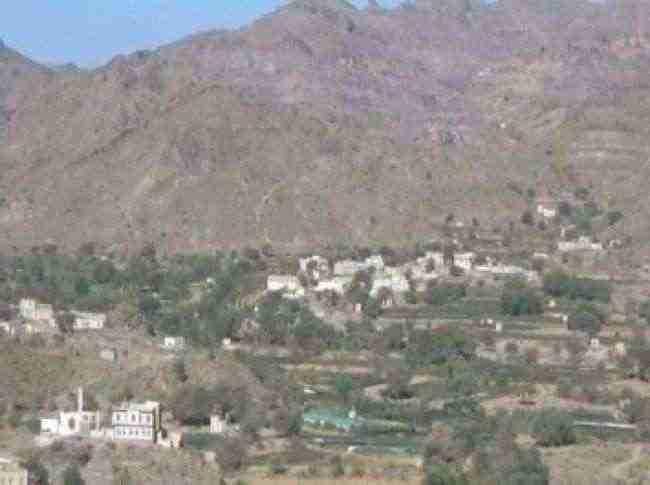 بدعوى الخمس .. الحوثيون ينهبون مزارع المواطنين بمناطق بين الضالع وإب