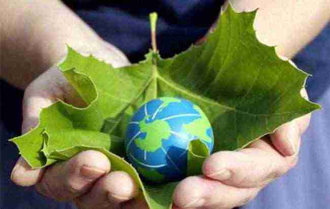 الإمارات تشارك العالم احتفالاته بـ "يوم البيئة العالمي"
