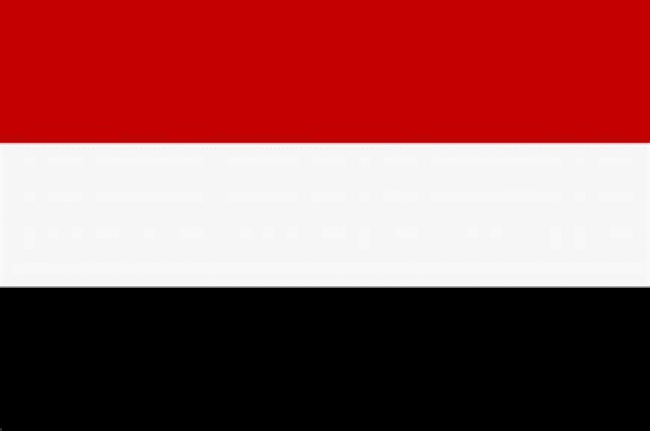 الحكومة اليمنية تشيد باجراءات السعودية بشأن قضية الصحفي "خاشقجي"