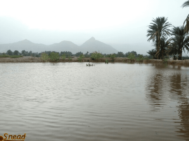 وزارة الزراعة تحذر المزارعين من تدفق السيول