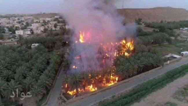 السعودية.. حريق ضخم يأتي على مئات أشجار النخيل