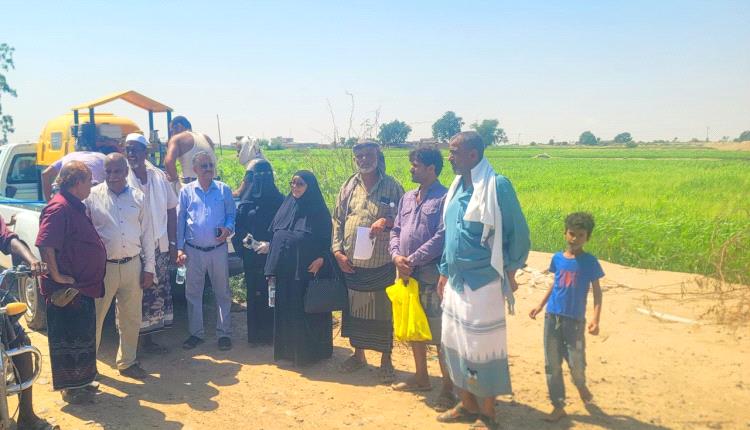 بدء مكافحة دودة الجيش الإفريقية بهذه المحافظة