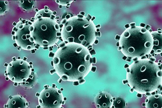 فيروس كورونا الجديد يهدد الصين.. وفاة 26 شخصاً وإصابة 881