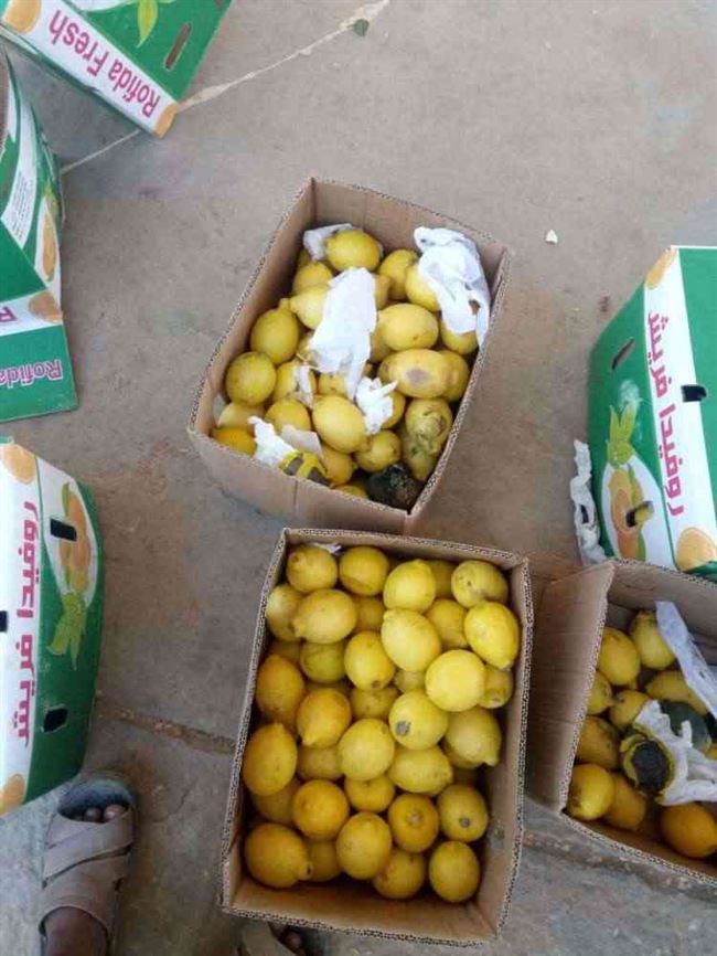 ضبط وإتلاف كمية كبيرة من الليمون المستورد في منفذ الوديعة