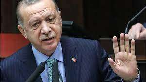 أردوغان: يبشر بمرحلة جديدة مع الإمارات ودول الخليج