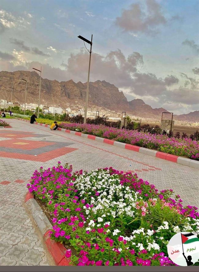 عدن تعيش وسط الظلام والحكومة والرئاسي بين فنادق الرياض