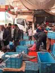 السيطرة على أسواق الأسماك في صنعاء يفجر صراع بين قيادات حوثية