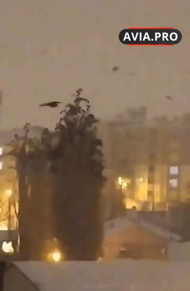 تنبأ بزلزال تركيا قبل 3 أيام وفيديو يرصد تصرف غريب ومريب للطيور قبيل الكارثة.. شاهد