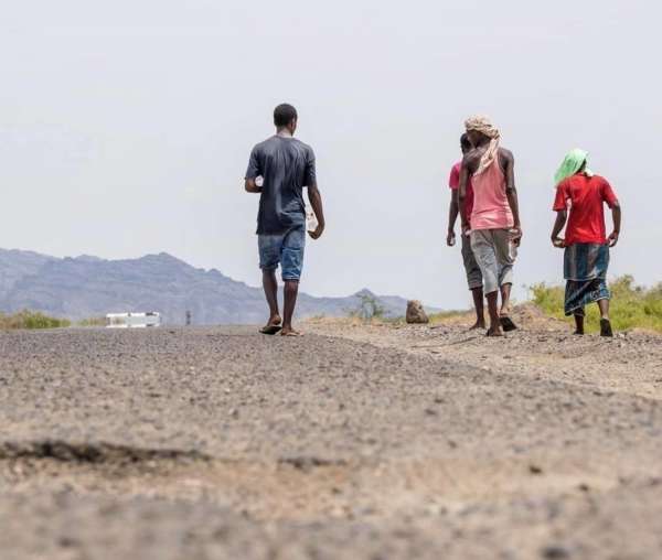 وصلوا إلى شبوة.. أكثر من 1700 مهاجر أفريقي دخلوا اليمن خلال يناير