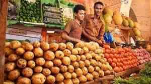 استقرار اسعار الفواكه والخضروات في اسواق العاصمة عدن