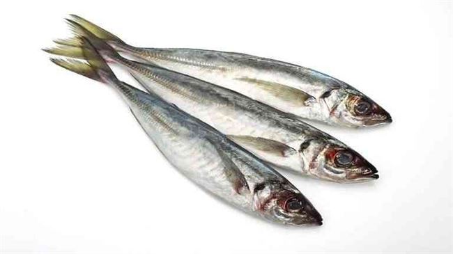 دراسة: تناول الأسماك الزيتية مرتين فقط في الأسبوع "يحد" من خطر صحي قاتل!