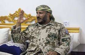 طارق صالح: حديث الحوثيين نفاق