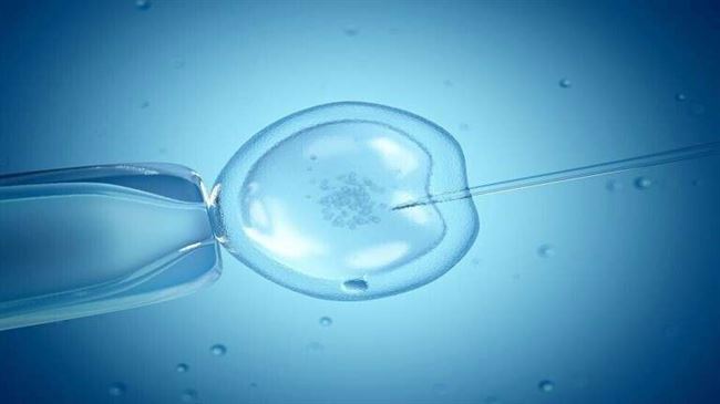 يابانيون يعالجون كبد رضيع حديث الولادة بالخلايا الجذعية الجنينية