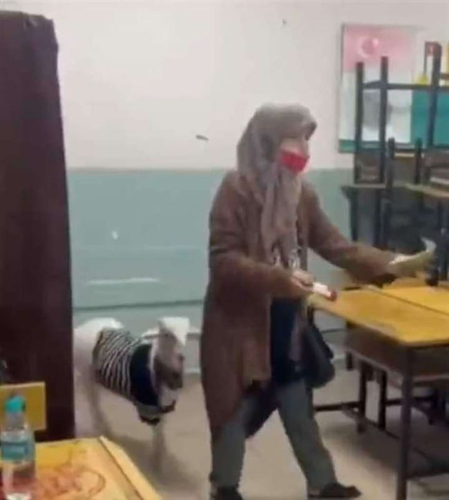 مشهد غريب ونادر.. خروف يحضر إلى مراكز الانتخابات التركية