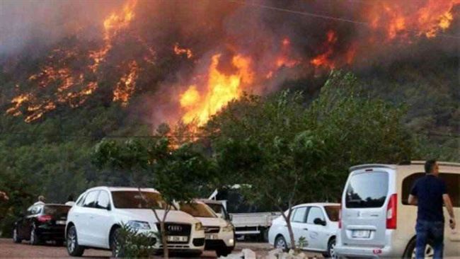 تركيا.. عشرات الجرحى في حريق غابات قرب منتجع سياحي