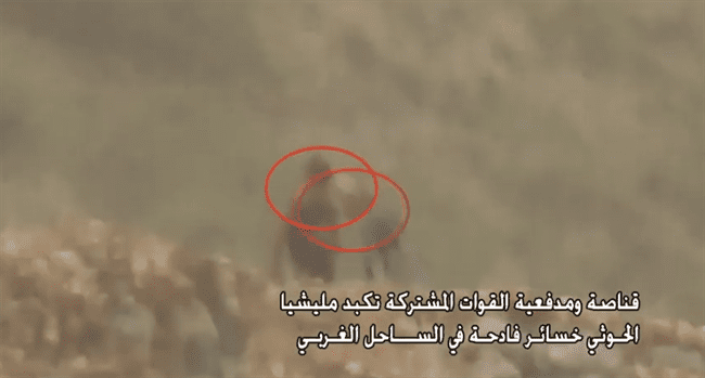 بالفيديو.. القناصة والمدفعية تحرق الحوثيين وترعبهم
