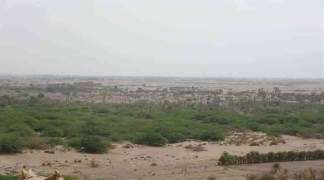 استهداف حوثي يطال قرى مأهولة في الحديدة