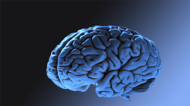 العلماء يكتشفون قدرة الدماغ على التنبؤ بالمستقبل