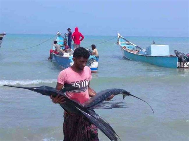 شاهد.. صيد الأسماك ملجأ الأسر الفقيرة في سواحل اليمن