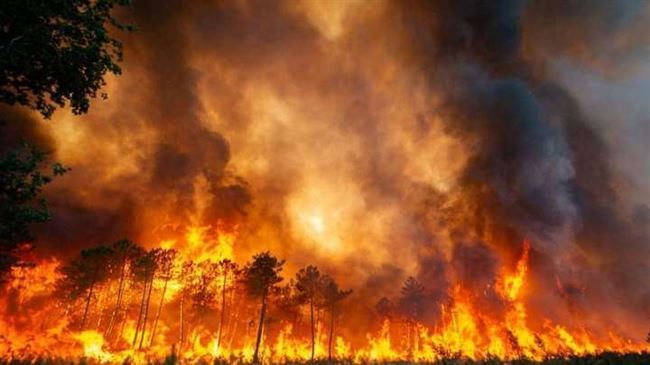 اندلاع حريق هائل في غابات شمال بالبرتغال