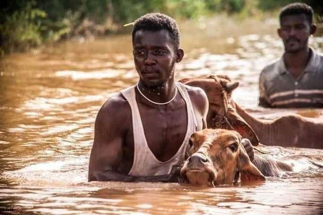 ارتفاع حصيلة ضحايا الفيضانات المدمرة في السودان