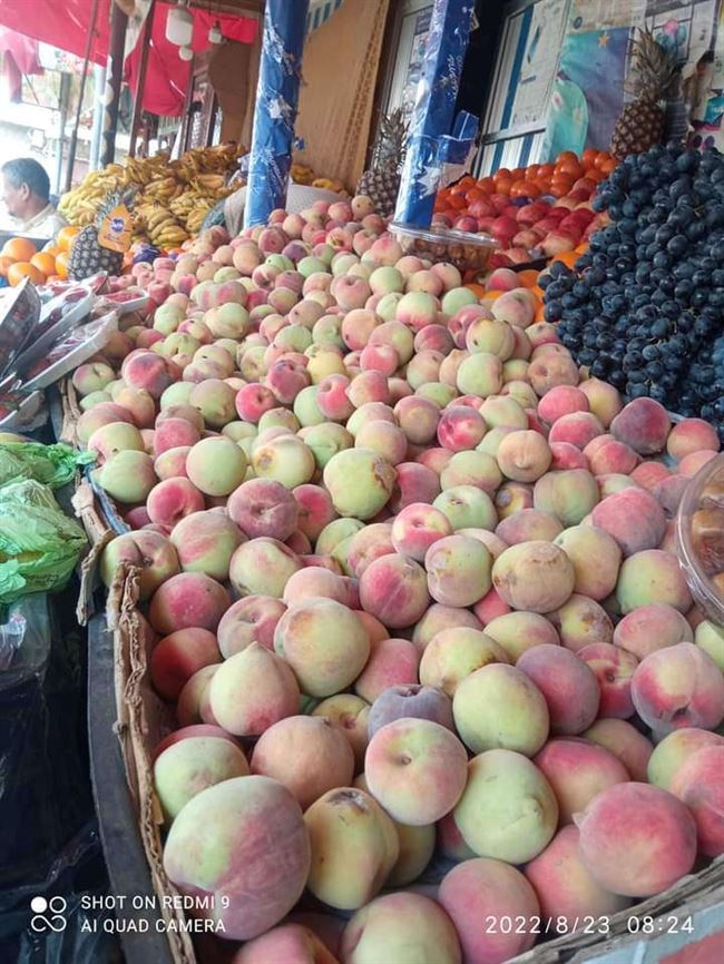 أسعار الفواكه والخضروات اليوم الأثنين  29 أغسطس