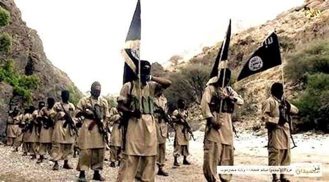 بعد انتصار طالبان .. تنظيم القاعدة يطمح للنهوض في اليمن