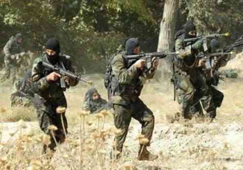 الجيش الجزائري يوجه ضربات موجعة لفلول الإرهاب