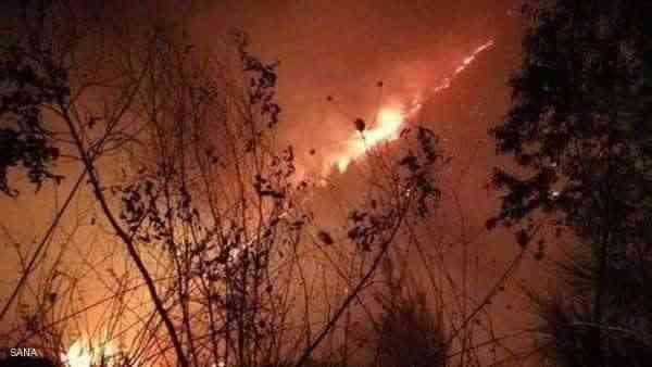 قتلى وآلاف النازحين جراء حرائق الغابات في سوريا ولبنان وإسرائيل