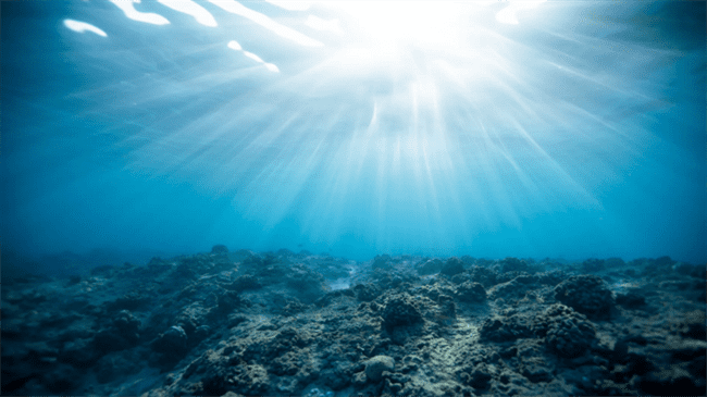 الكشف عن زاحف بحري مخيف جاب المحيطات منذ 240 مليون سنة!