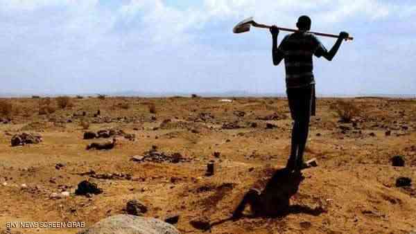فيلم صومالي يفوز بالجائزة الكبرى بالمهرجان الأفريقي للسينما