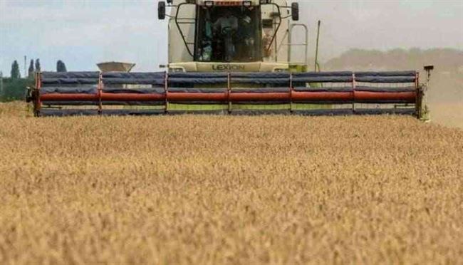 تعليق روسيا لاتفاق تصدير الحبوب الأوكرانية يثير قلق عالمي