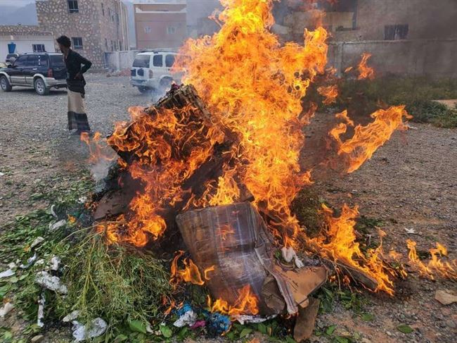 شاهد صور إحراق كميات كبيرة من القات في سقطرى وضبط الباعة