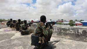 الصومال.. مصرع 169 إرهابيا خلال شهر في عمليات عسكرية نفذها الجيش