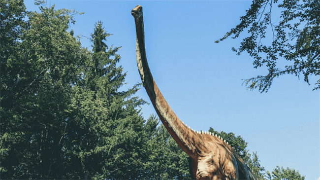 اكتشاف أحفوري يحدد ما يحتمل أن يكون أطول ديناصور عاش على الإطلاق