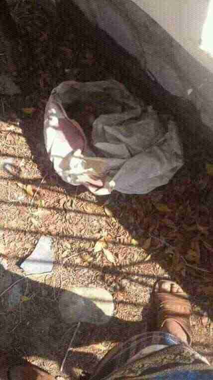 بالصور.. العثور على رضيع مُلقى بمنطقة مهجورة في عدن وعودة الطفلة المختطفة في صنعاء