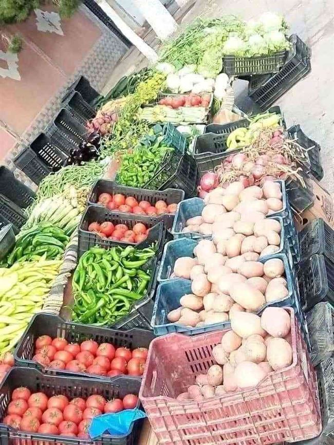 الطماطم 1800 للكيلو.. أسعار الخضروات والفواكه صباح اليوم السبت