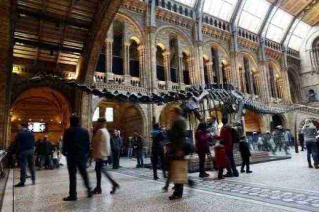 متحف التاريخ الطبيعي في لندن يودع الديناصور ديبي
