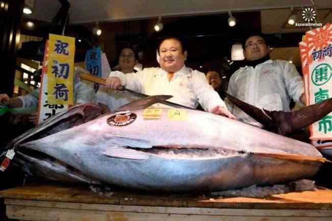 سمكة تونة حمراء بـ 605 آلاف يورو