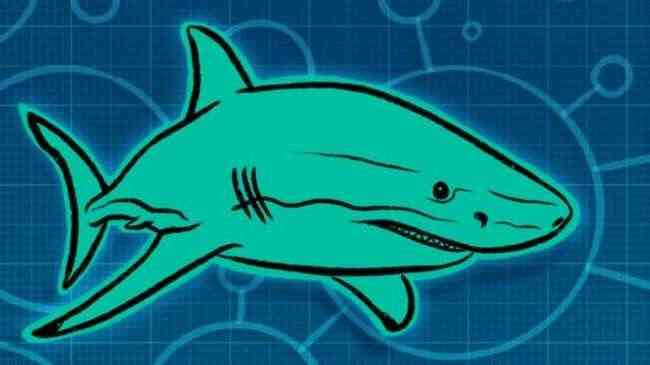 جلود أسماك القرش تُلهم باحثين في التصدي للبكتيريا