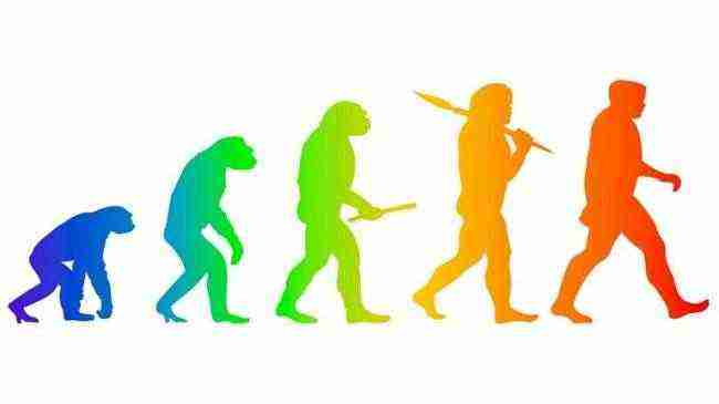تنقيح نظرية تطور الإنسان