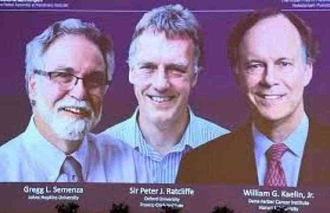 جائزة نوبل لأمريكيين وبريطاني في الطب لعام 2019