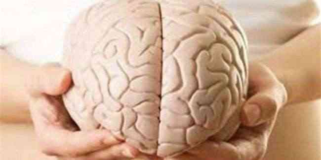 دراسة: تقلب مستوى الدخل قد يضر بصحة المخ والقدرات الإدراكية